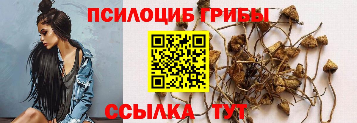 Котовск  Псилоцибиновые грибы мухоморы  Вход с VPN 