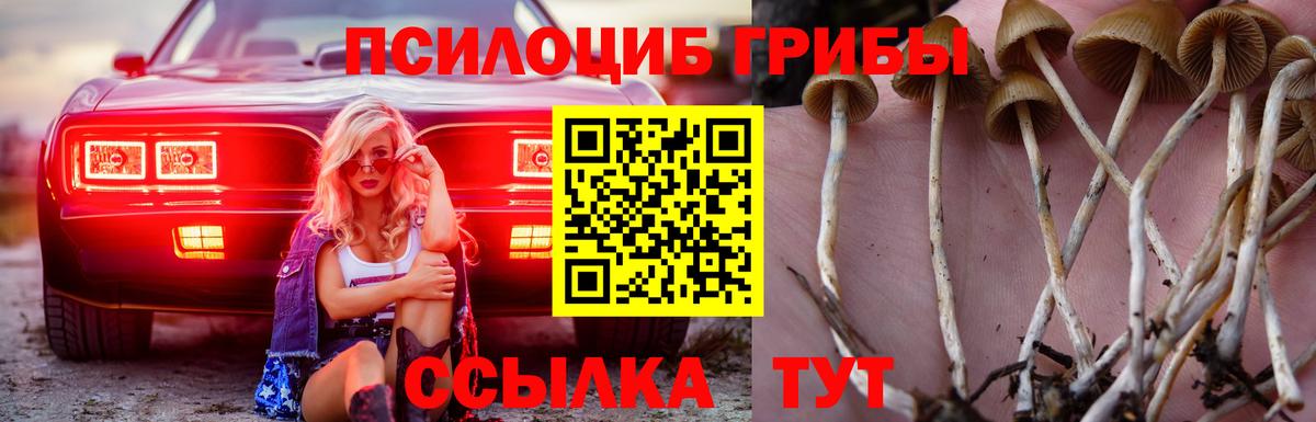 Псилоцибиновые грибы мухоморы Котовск
